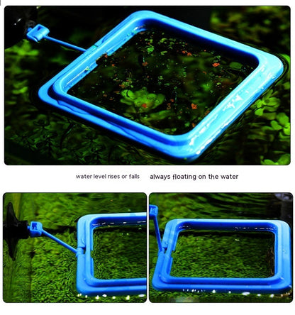 Aquarium Fish Feeding Ring