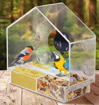 Buddy Smart Bird Feeder