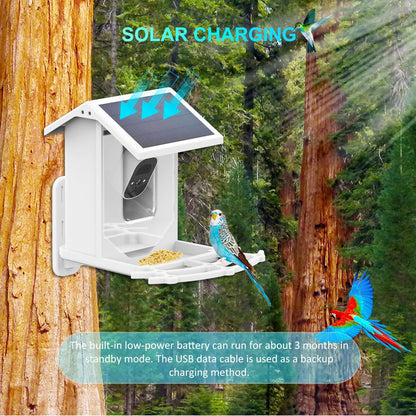 Solar-Powered Smart Feeder Camera