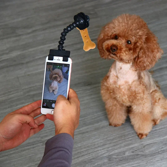 Pet Photography Lens for Mobile Devices