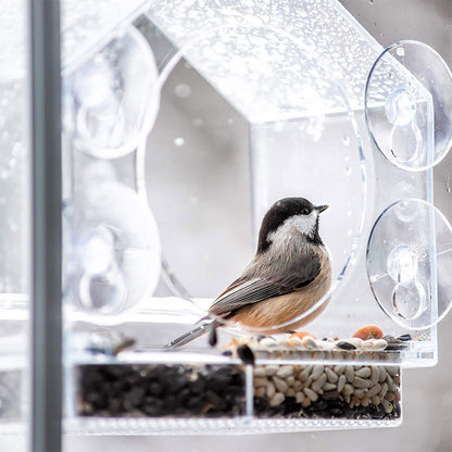 Buddy Smart Bird Feeder