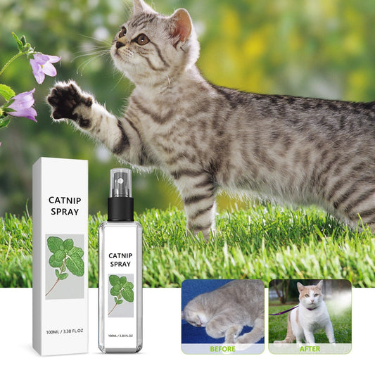 Pet Vitality Health Care Spray