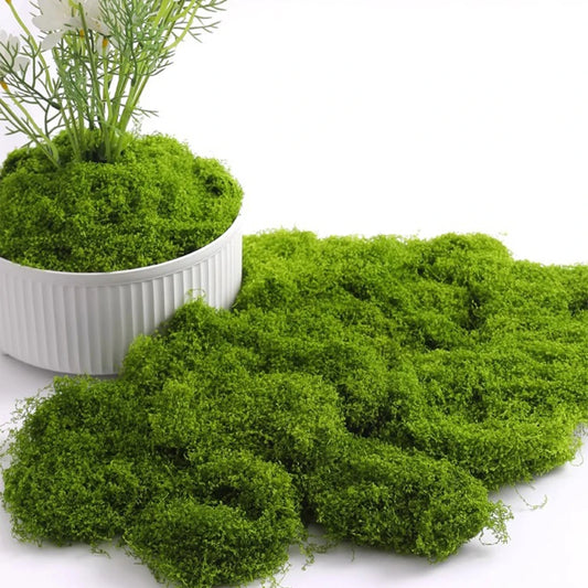 Artificial Moss - 20gram