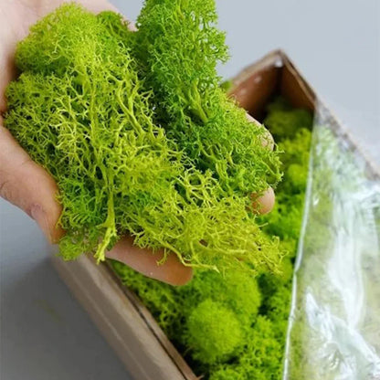 Artificial Moss - 20gram