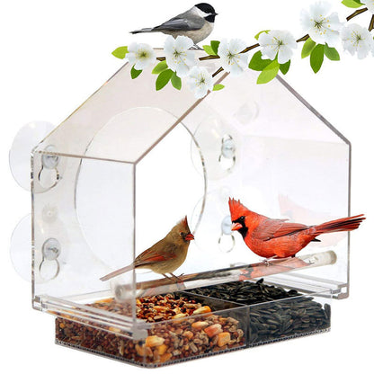 Buddy Smart Bird Feeder