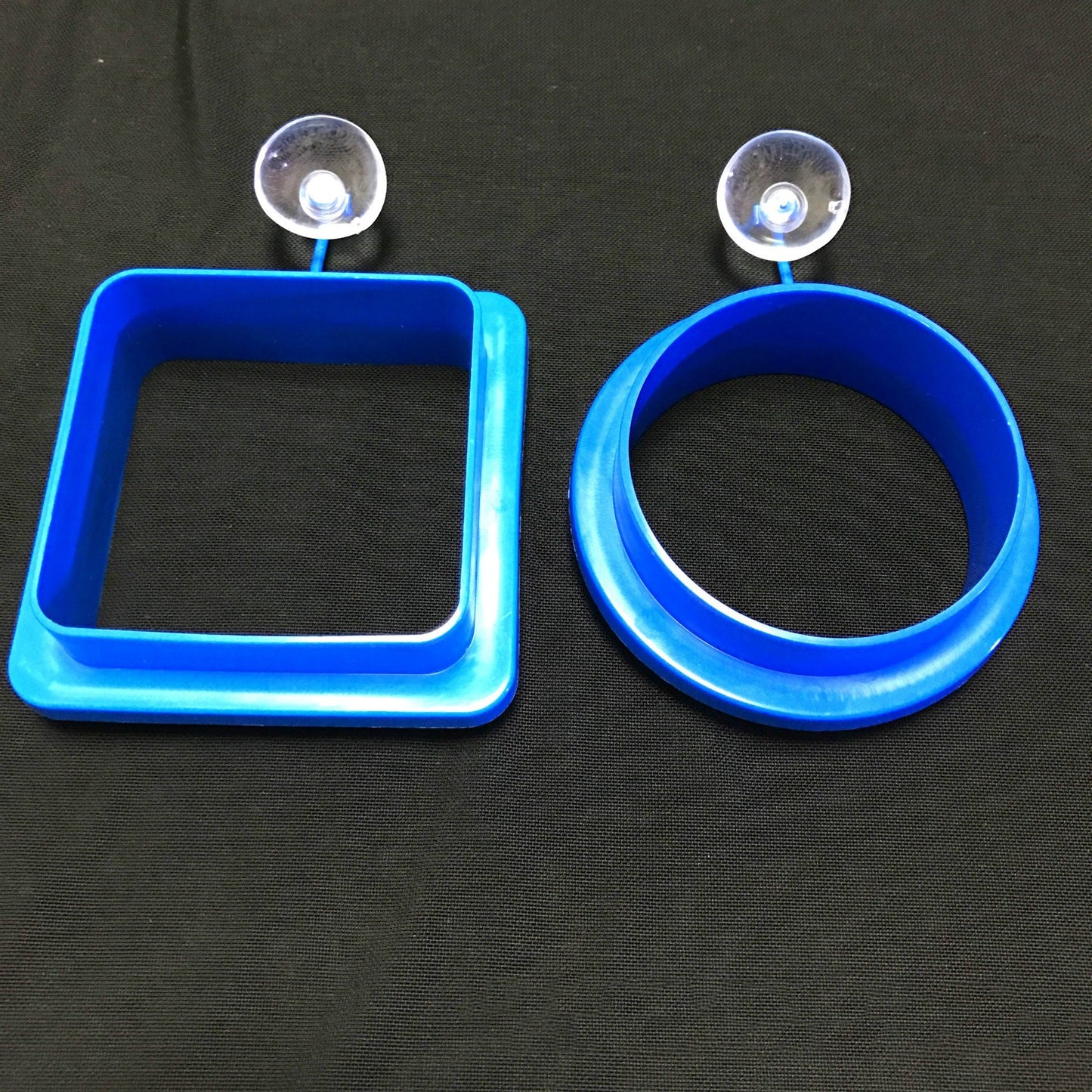 Aquarium Fish Feeding Ring