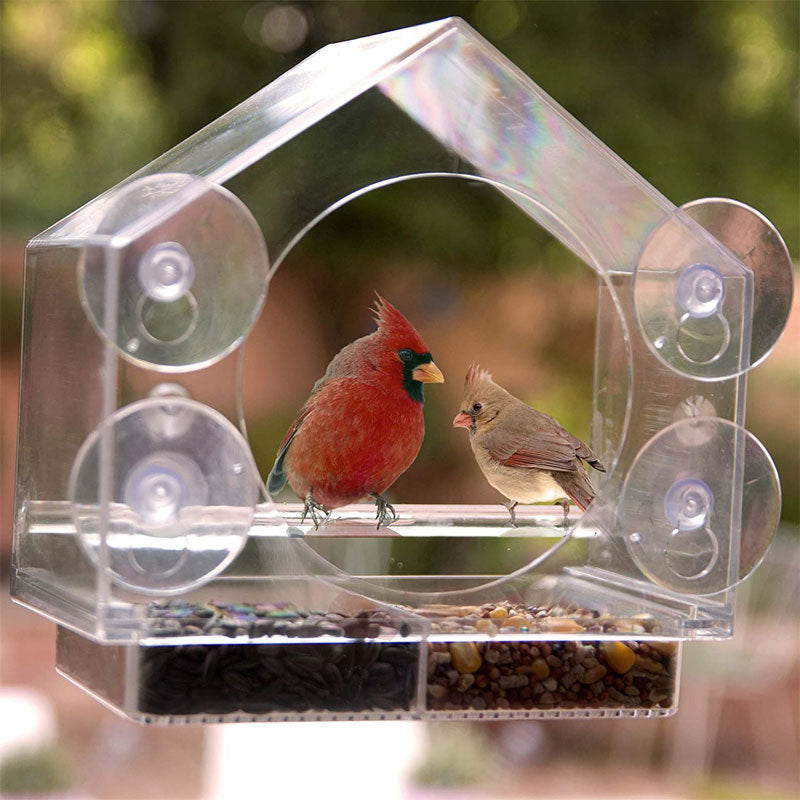 Buddy Smart Bird Feeder