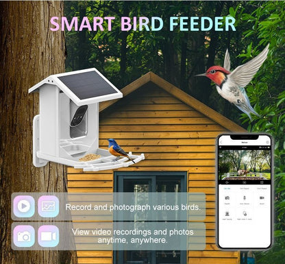 Solar-Powered Smart Feeder Camera