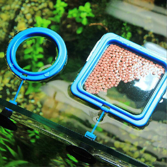 Aquarium Fish Feeding Ring