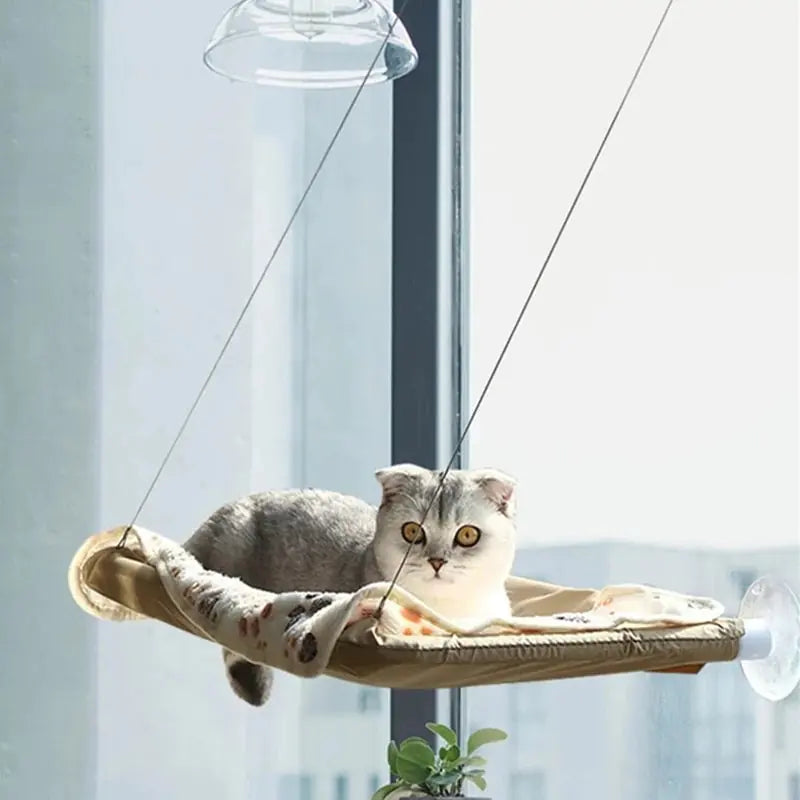 Sunny Window Cat Hammock Bed